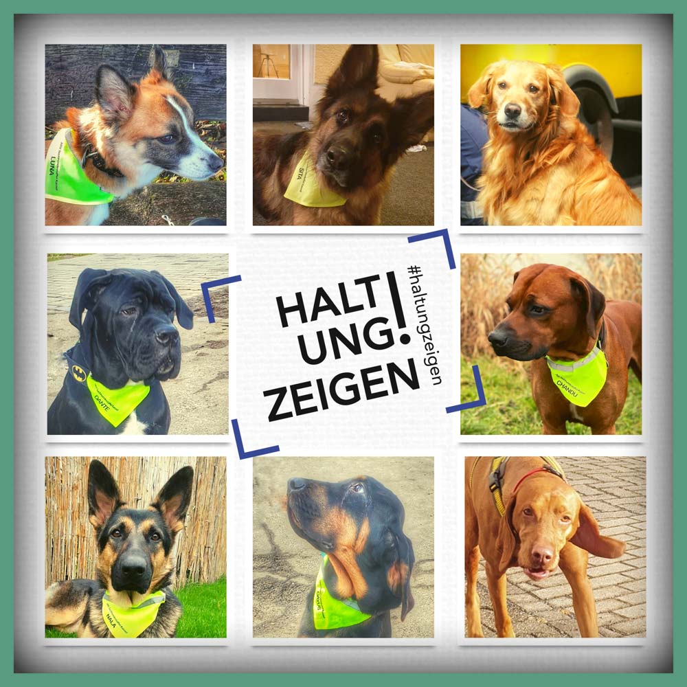 ARV-Suchhundestaffel-Kassel